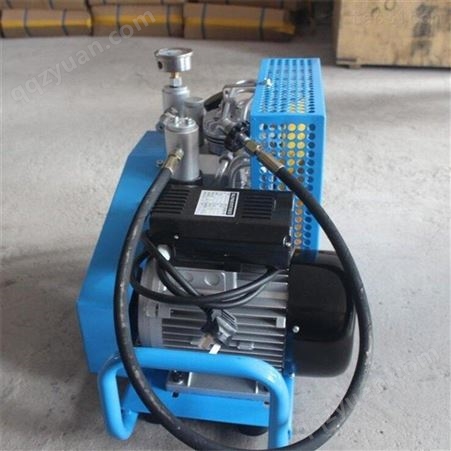 择众高压空气压缩机 小型氧气填充泵 多功能充气柱塞泵
