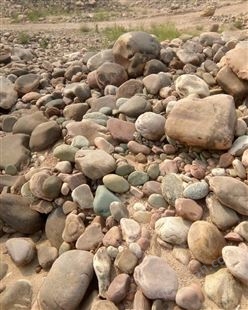 供应河北邢台金磊石材30-9000mm沙石砾石卵石价格 天然河卵石 鹅卵石批发