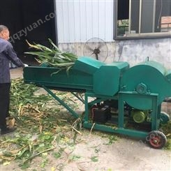 青贮揉丝机 养殖揉丝机 玉米秸秆粉碎机 保丰 6吨 精选厂家 批发