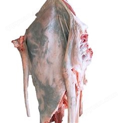 新鲜驴肉出售 茂隆特色驴肉行情价格