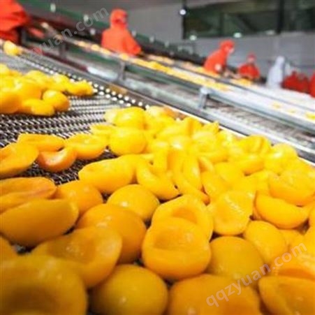 厂家生产 桃罐头批发 水果黄桃罐头 山东巨鑫源工厂直供 包邮