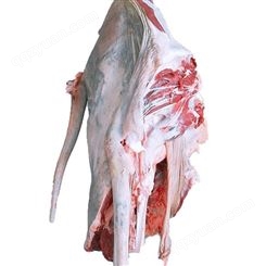 新鲜驴肉出售 茂隆冷冻驴肉厂家批发