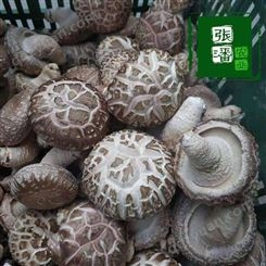 花菇 新鲜花菇批发 饱满香菇 张潘农业种植