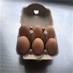 6枚鸡蛋保护托-卓尔纸塑-厂家出售-环保可降解