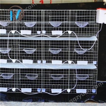 鸽笼厂家大量三层1.7高鸽子笼支持定制可包安装