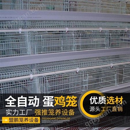 盟鹏厂家生产自动蛋鸡笼 鸡笼养殖设备 阶梯式热镀锌层叠蛋鸡笼 立体式三层肉鸡笼