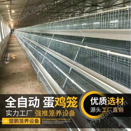 四层梯形蛋鸡笼 加粗防锈镀锌蛋鸡笼 自动鸡笼 鸡笼养殖自动养殖设备