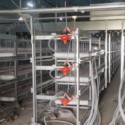 厂家生产批发各种鸡笼 自动化养殖肉鸡笼设备 外贸采购 定做清粪