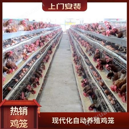  鸡笼 质量保证鸡笼 养殖棚专用肉鸡笼 大层叠蛋鸡笼