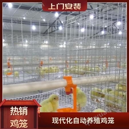  鸡笼 质量保证鸡笼 养殖棚专用肉鸡笼 大层叠蛋鸡笼