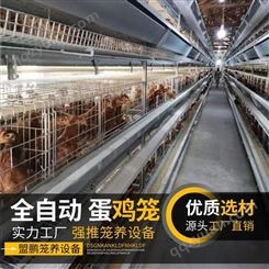 河北盟鹏厂家生产定制鸡笼 立式自动清粪蛋鸡笼 H型层叠式半自动肉鸡笼