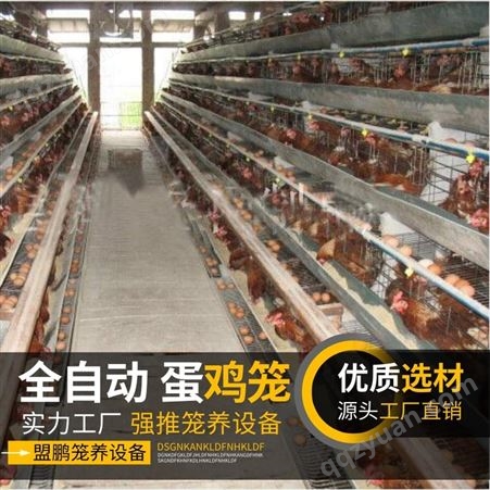 河北盟鹏厂家生产定制鸡笼 立式自动清粪蛋鸡笼 H型层叠式半自动肉鸡笼