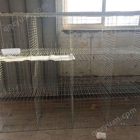 三层12个笼位鸽子笼 采用左右推拉门 四层16位弹簧门肉鸽养殖笼