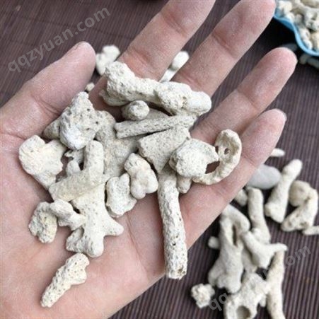 水处理珊瑚石  珊瑚砂 水族珊瑚骨鱼缸滤材  大量销售珊瑚骨