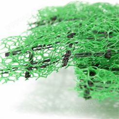 三维植被网生产厂家 EM3 加筋三维植被网 护坡绿化三维网垫