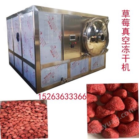 小型草莓冻干机 草莓粉冻干机设备厂家 轩逸机械