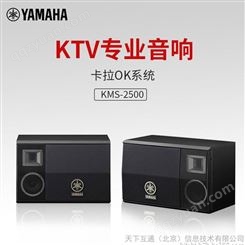 Yamaha/雅马哈 KMS-2500 音响KTV卡拉OK音箱K歌设备家用