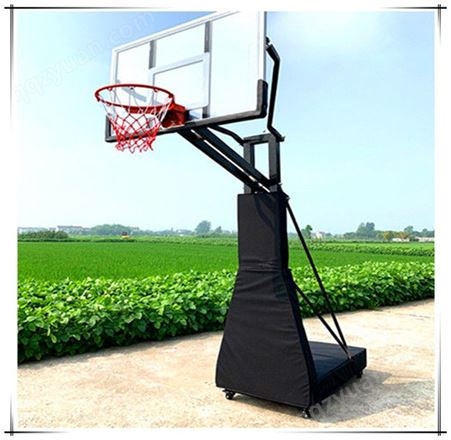 体育器材篮球架 移动篮球架 地埋篮球架 豪华篮球架 海燕式篮球架