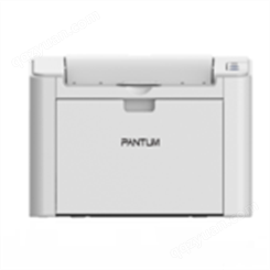 奔图/PANTUM P2505N 激光打印机
