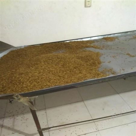 黄粉虫微波杀虫干燥设备 山东亚安机械设备有限公司