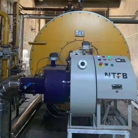 NTFB 锅炉低氮燃烧器 多吨位可选