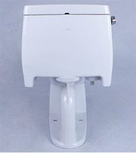 TOTO卫浴家用马桶超漩式连体坐便器CW805